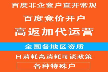 搜索开户返点政策下的成功案例分析